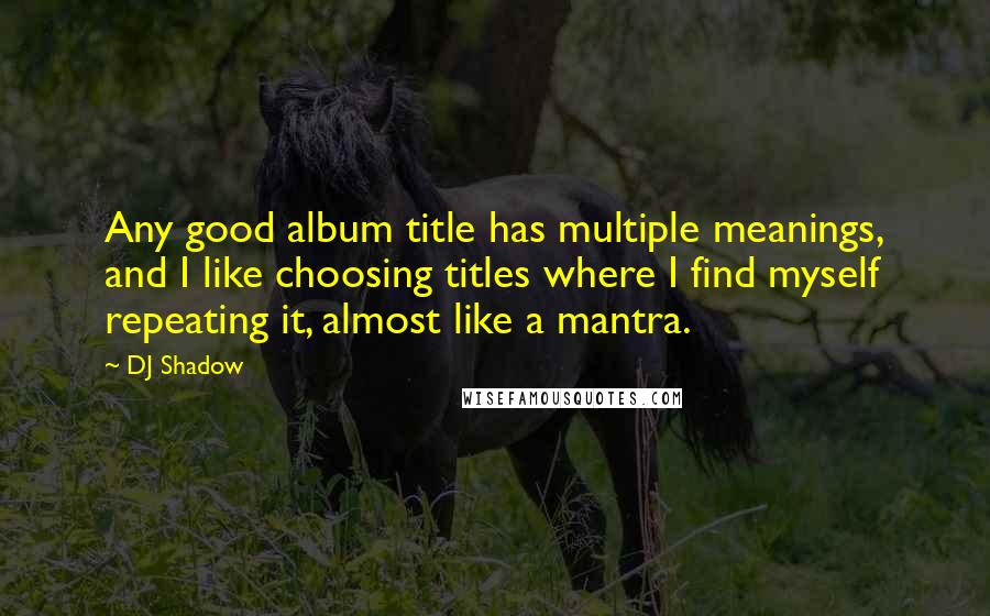 DJ Shadow Quotes: Any good album title has multiple meanings, and I like choosing titles where I find myself repeating it, almost like a mantra.