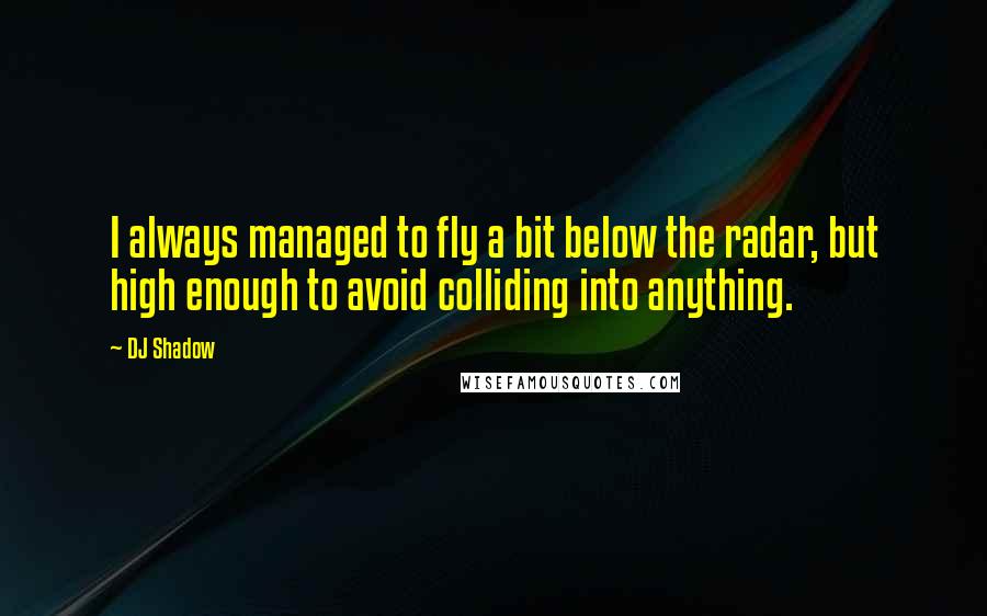 DJ Shadow Quotes: I always managed to fly a bit below the radar, but high enough to avoid colliding into anything.