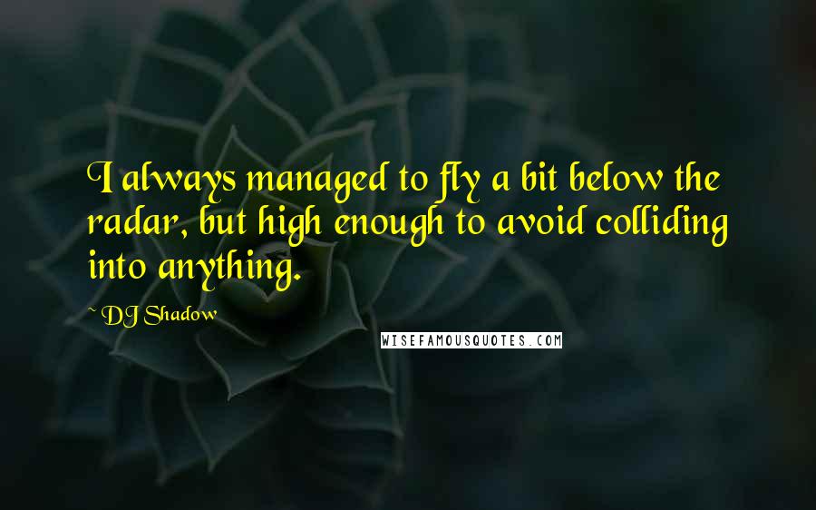 DJ Shadow Quotes: I always managed to fly a bit below the radar, but high enough to avoid colliding into anything.