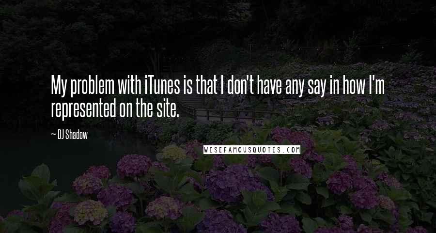 DJ Shadow Quotes: My problem with iTunes is that I don't have any say in how I'm represented on the site.