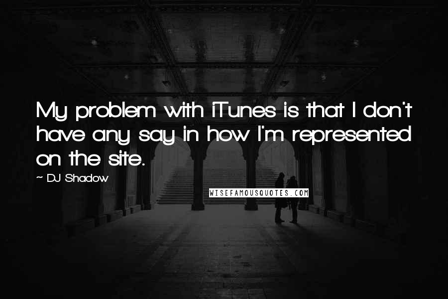 DJ Shadow Quotes: My problem with iTunes is that I don't have any say in how I'm represented on the site.