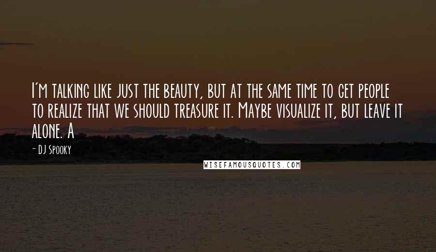 DJ Spooky Quotes: I'm talking like just the beauty, but at the same time to get people to realize that we should treasure it. Maybe visualize it, but leave it alone. A