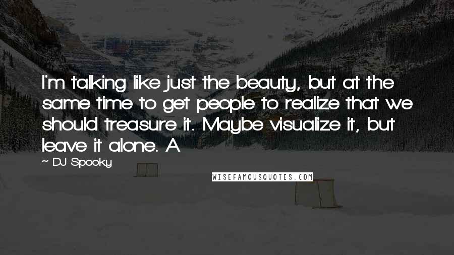 DJ Spooky Quotes: I'm talking like just the beauty, but at the same time to get people to realize that we should treasure it. Maybe visualize it, but leave it alone. A