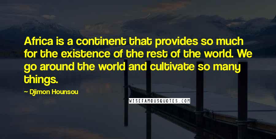 Djimon Hounsou Quotes: Africa is a continent that provides so much for the existence of the rest of the world. We go around the world and cultivate so many things.