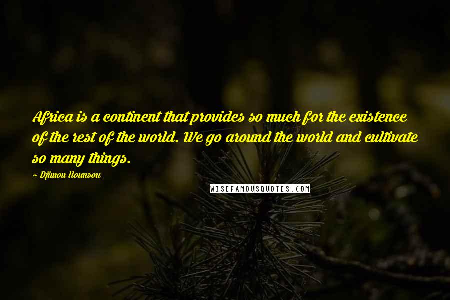 Djimon Hounsou Quotes: Africa is a continent that provides so much for the existence of the rest of the world. We go around the world and cultivate so many things.