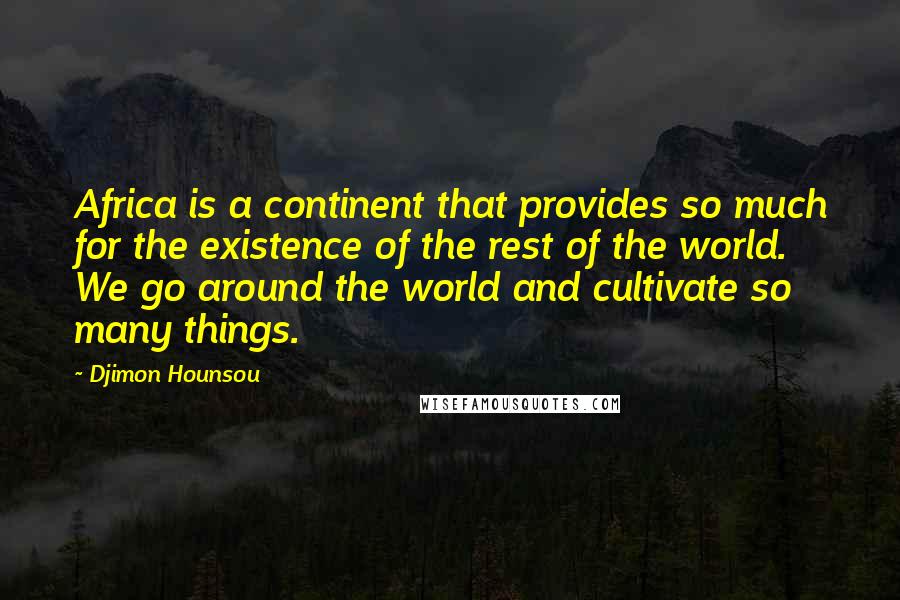 Djimon Hounsou Quotes: Africa is a continent that provides so much for the existence of the rest of the world. We go around the world and cultivate so many things.