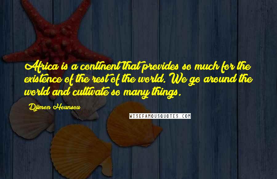 Djimon Hounsou Quotes: Africa is a continent that provides so much for the existence of the rest of the world. We go around the world and cultivate so many things.