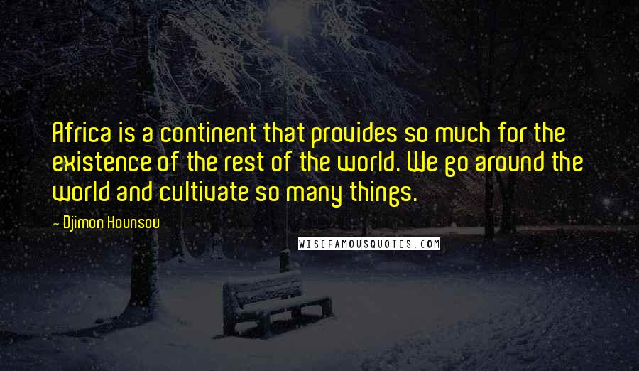 Djimon Hounsou Quotes: Africa is a continent that provides so much for the existence of the rest of the world. We go around the world and cultivate so many things.