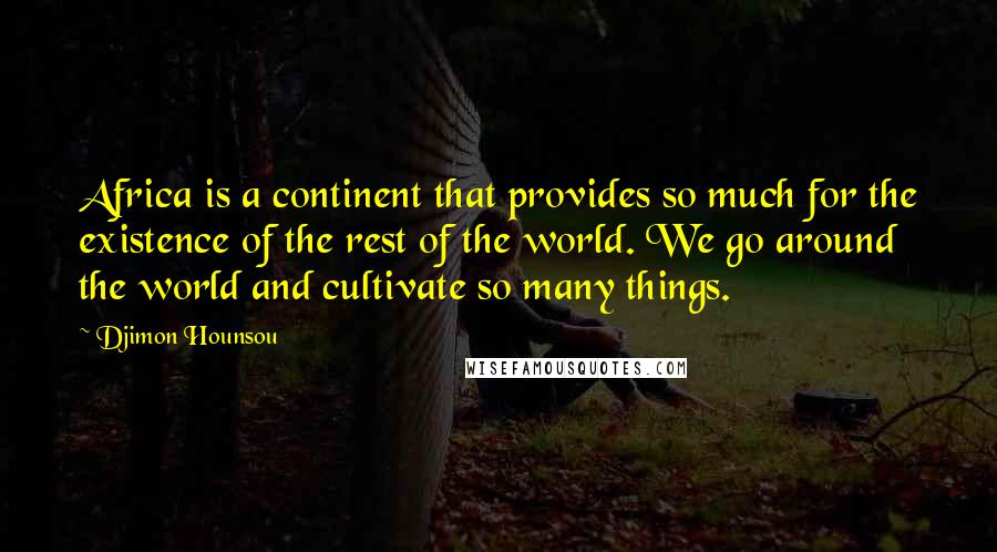 Djimon Hounsou Quotes: Africa is a continent that provides so much for the existence of the rest of the world. We go around the world and cultivate so many things.