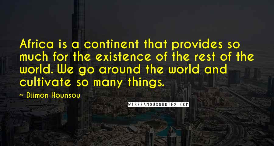 Djimon Hounsou Quotes: Africa is a continent that provides so much for the existence of the rest of the world. We go around the world and cultivate so many things.