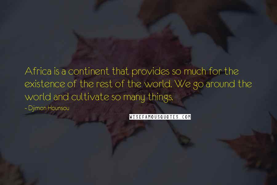 Djimon Hounsou Quotes: Africa is a continent that provides so much for the existence of the rest of the world. We go around the world and cultivate so many things.