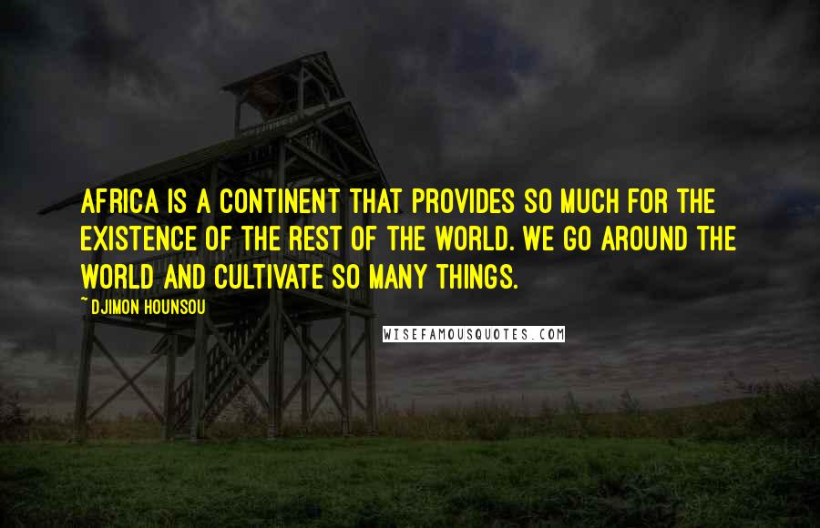 Djimon Hounsou Quotes: Africa is a continent that provides so much for the existence of the rest of the world. We go around the world and cultivate so many things.