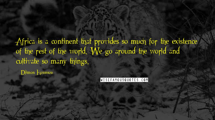 Djimon Hounsou Quotes: Africa is a continent that provides so much for the existence of the rest of the world. We go around the world and cultivate so many things.