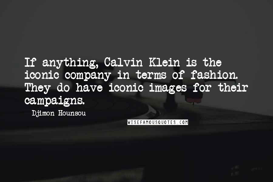 Djimon Hounsou Quotes: If anything, Calvin Klein is the iconic company in terms of fashion. They do have iconic images for their campaigns.