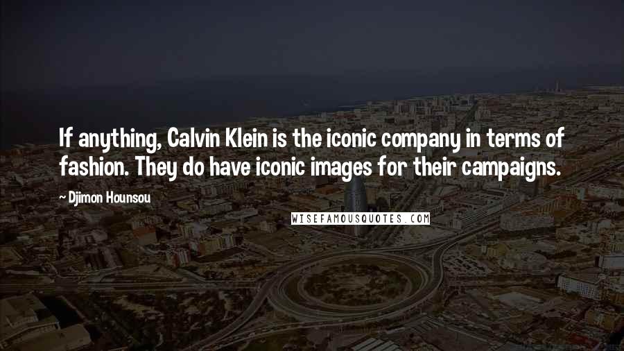 Djimon Hounsou Quotes: If anything, Calvin Klein is the iconic company in terms of fashion. They do have iconic images for their campaigns.