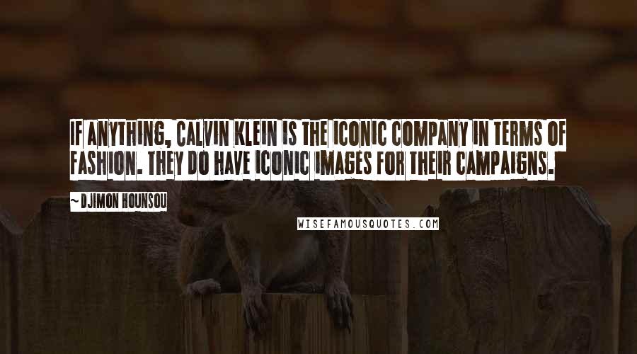 Djimon Hounsou Quotes: If anything, Calvin Klein is the iconic company in terms of fashion. They do have iconic images for their campaigns.