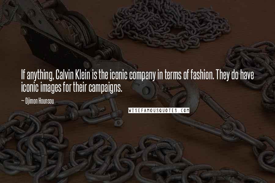 Djimon Hounsou Quotes: If anything, Calvin Klein is the iconic company in terms of fashion. They do have iconic images for their campaigns.