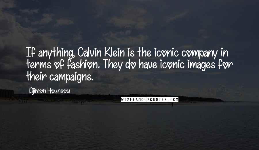 Djimon Hounsou Quotes: If anything, Calvin Klein is the iconic company in terms of fashion. They do have iconic images for their campaigns.