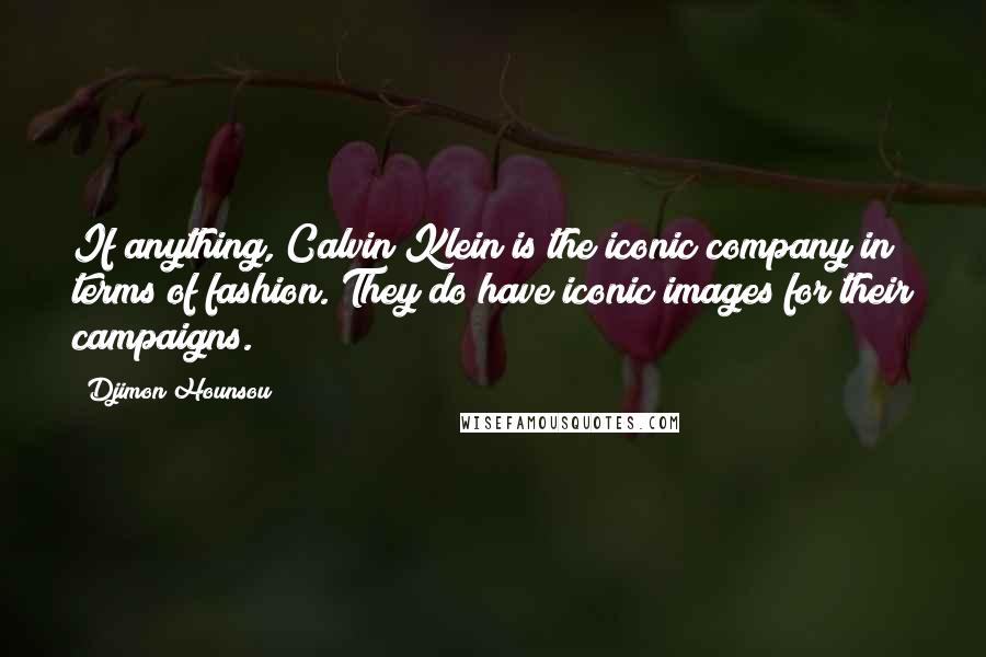 Djimon Hounsou Quotes: If anything, Calvin Klein is the iconic company in terms of fashion. They do have iconic images for their campaigns.