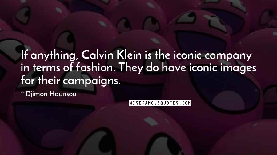 Djimon Hounsou Quotes: If anything, Calvin Klein is the iconic company in terms of fashion. They do have iconic images for their campaigns.