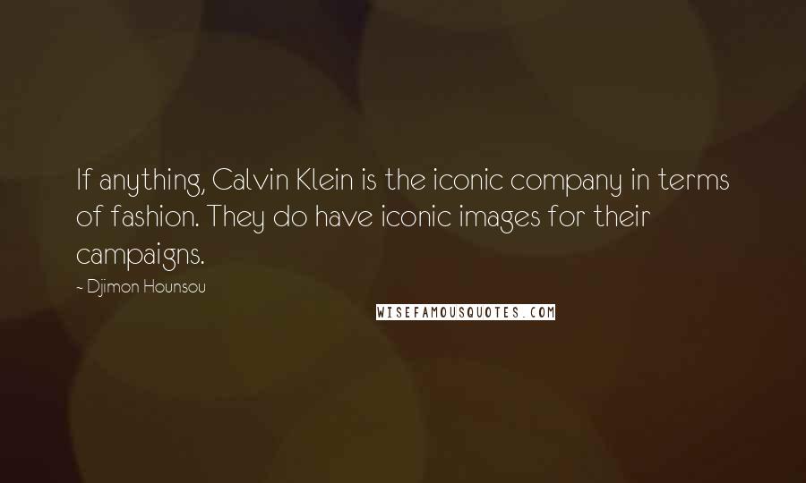 Djimon Hounsou Quotes: If anything, Calvin Klein is the iconic company in terms of fashion. They do have iconic images for their campaigns.