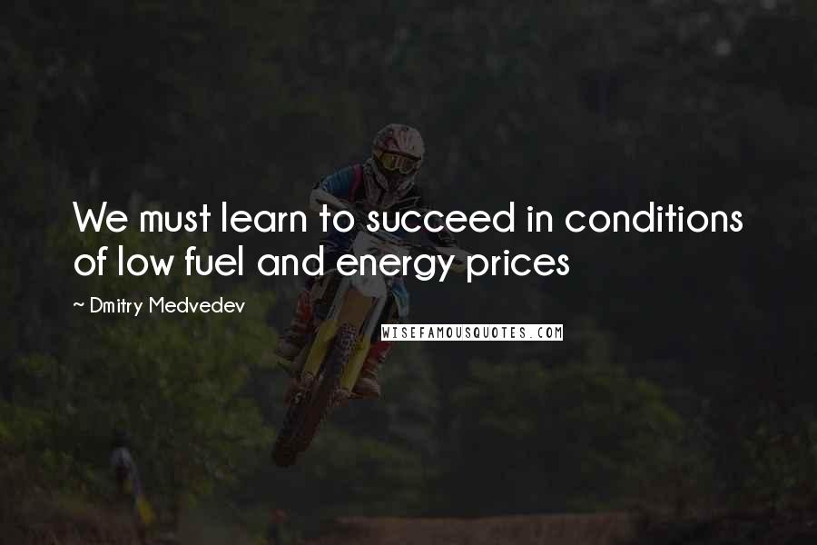 Dmitry Medvedev Quotes: We must learn to succeed in conditions of low fuel and energy prices