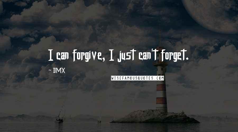 DMX Quotes: I can forgive, I just can't forget.