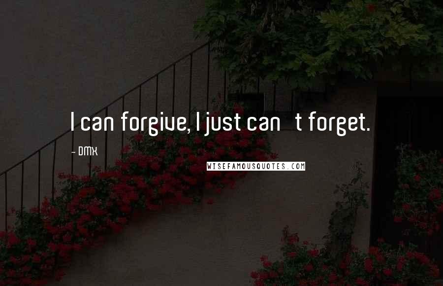 DMX Quotes: I can forgive, I just can't forget.