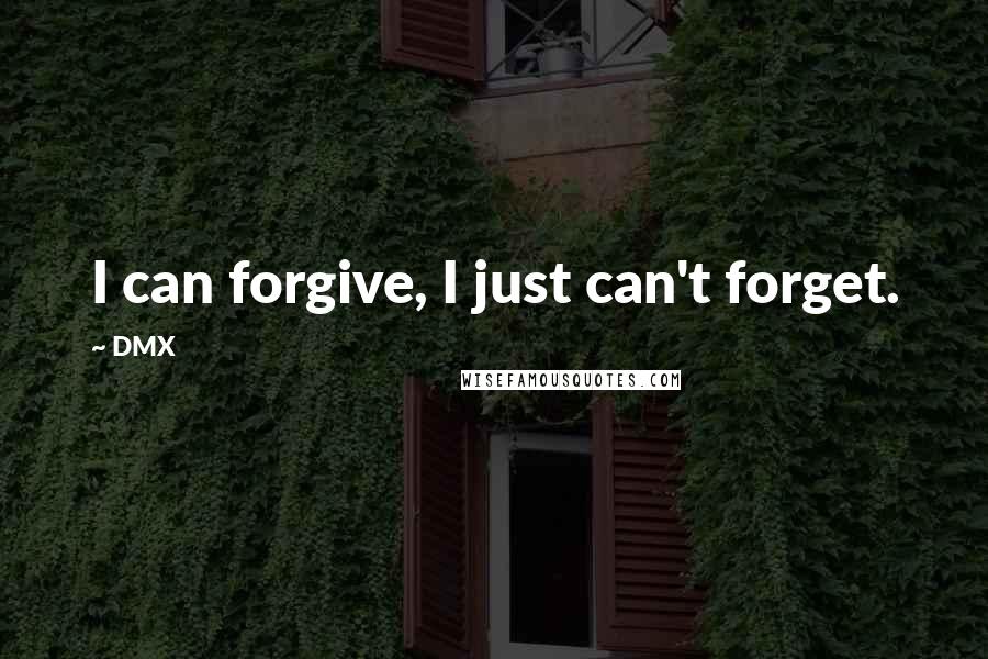DMX Quotes: I can forgive, I just can't forget.