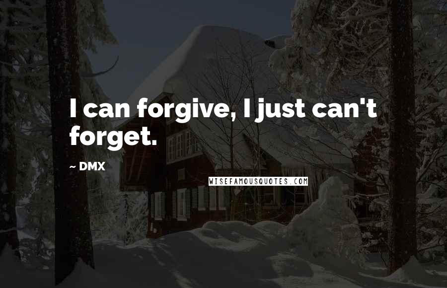 DMX Quotes: I can forgive, I just can't forget.