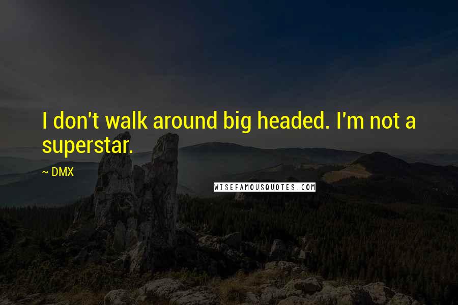 DMX Quotes: I don't walk around big headed. I'm not a superstar.