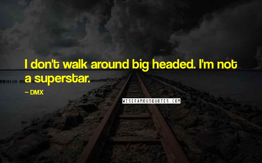 DMX Quotes: I don't walk around big headed. I'm not a superstar.