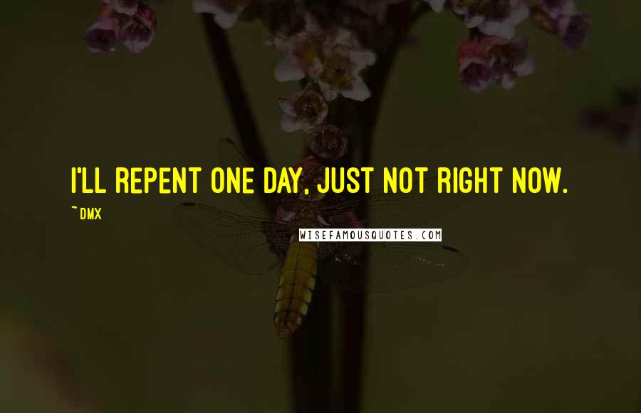 DMX Quotes: I'll repent one day, just not right now.