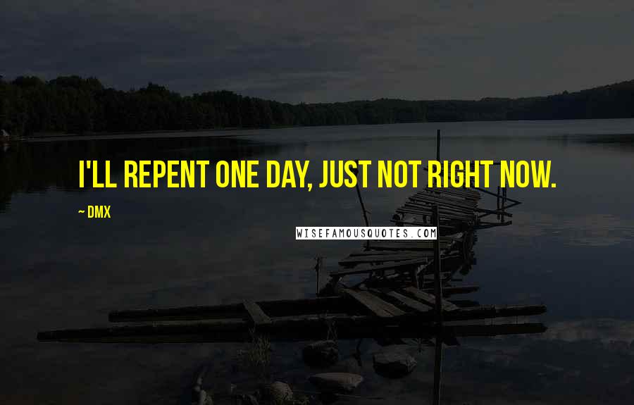 DMX Quotes: I'll repent one day, just not right now.