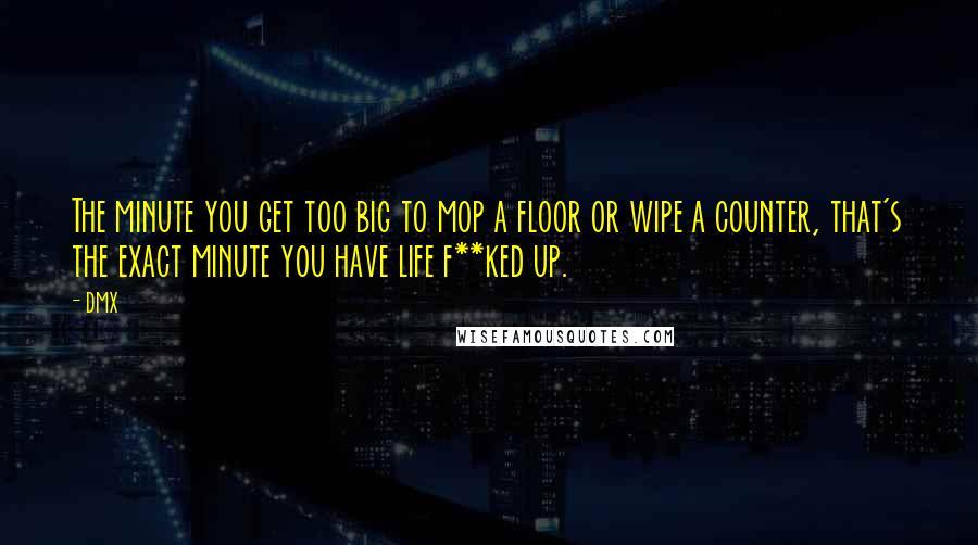 DMX Quotes: The minute you get too big to mop a floor or wipe a counter, that's the exact minute you have life f**ked up.