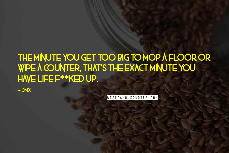 DMX Quotes: The minute you get too big to mop a floor or wipe a counter, that's the exact minute you have life f**ked up.