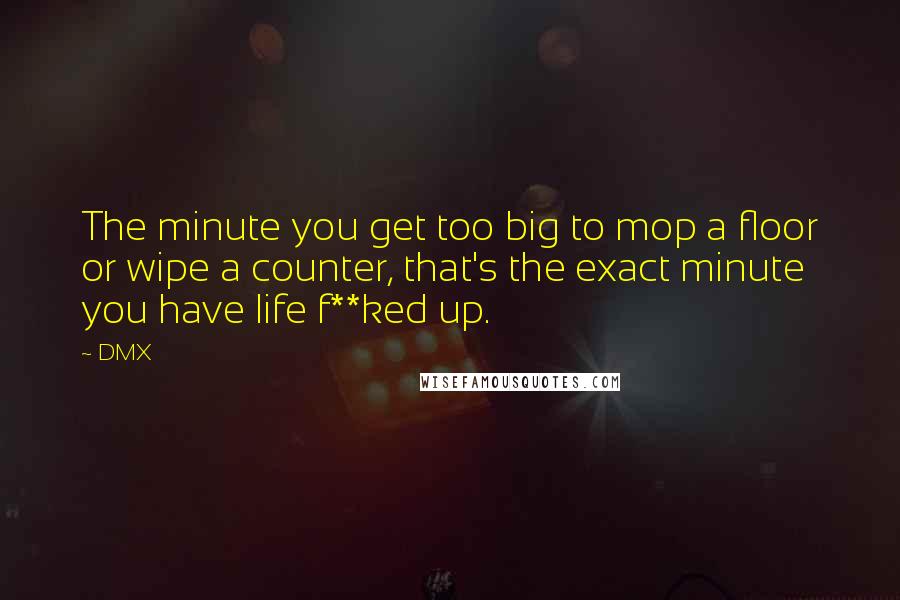 DMX Quotes: The minute you get too big to mop a floor or wipe a counter, that's the exact minute you have life f**ked up.