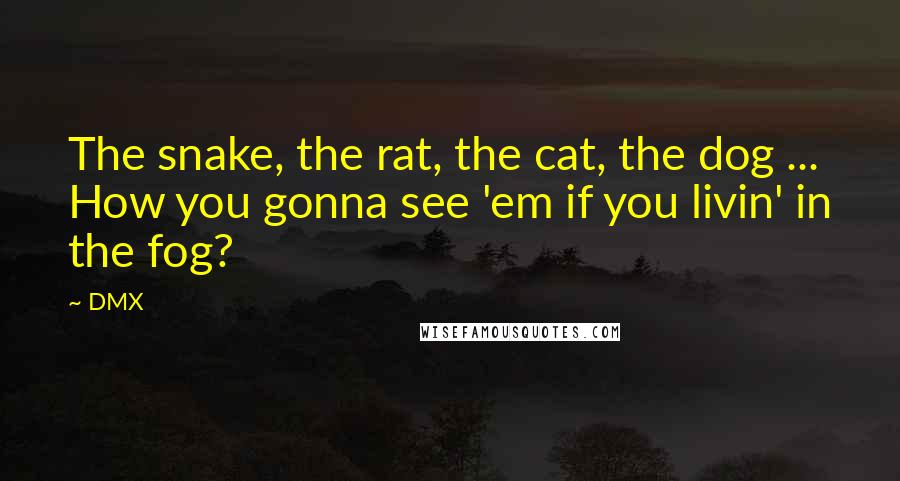 DMX Quotes: The snake, the rat, the cat, the dog ... How you gonna see 'em if you livin' in the fog?