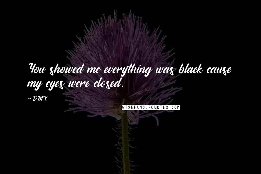 DMX Quotes: You showed me everything was black cause my eyes were closed.