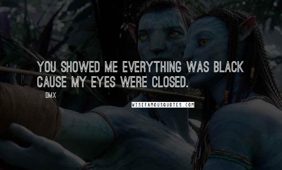 DMX Quotes: You showed me everything was black cause my eyes were closed.