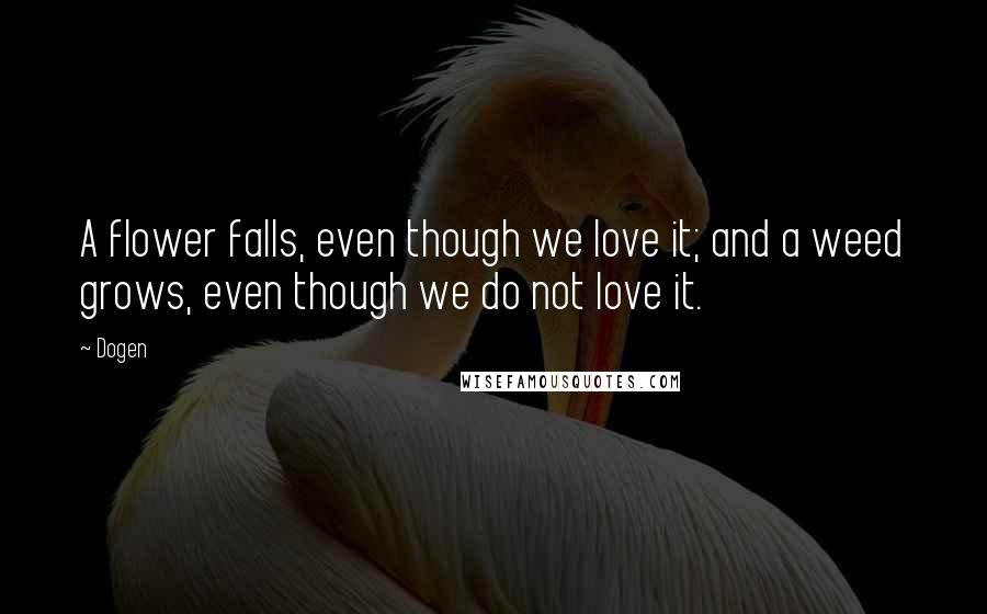 Dogen Quotes: A flower falls, even though we love it; and a weed grows, even though we do not love it.