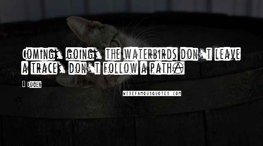Dogen Quotes: Coming, going, the waterbirds don't leave a trace, don't follow a path.