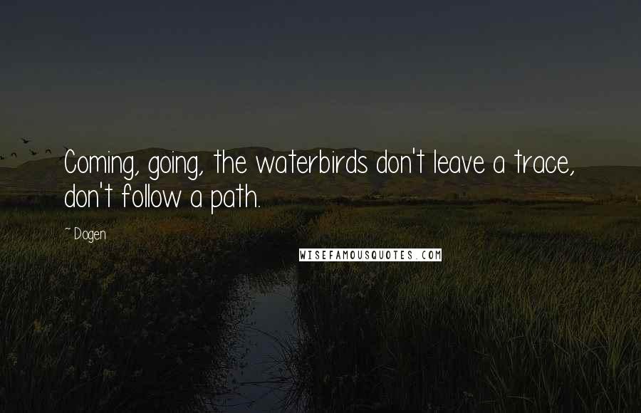 Dogen Quotes: Coming, going, the waterbirds don't leave a trace, don't follow a path.