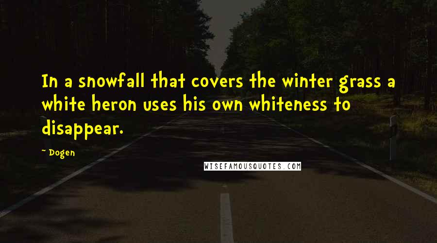 Dogen Quotes: In a snowfall that covers the winter grass a white heron uses his own whiteness to disappear.