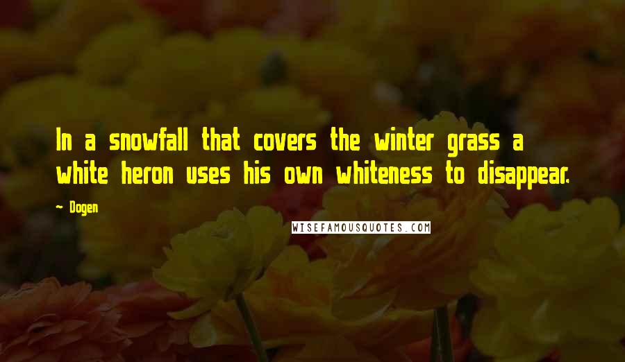 Dogen Quotes: In a snowfall that covers the winter grass a white heron uses his own whiteness to disappear.