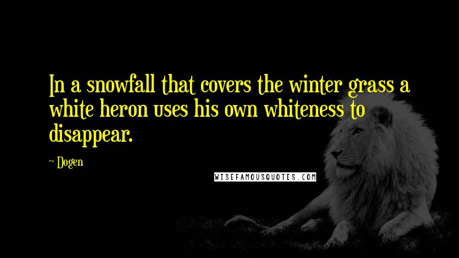 Dogen Quotes: In a snowfall that covers the winter grass a white heron uses his own whiteness to disappear.