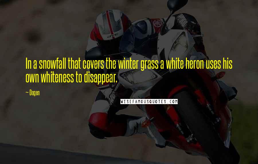 Dogen Quotes: In a snowfall that covers the winter grass a white heron uses his own whiteness to disappear.