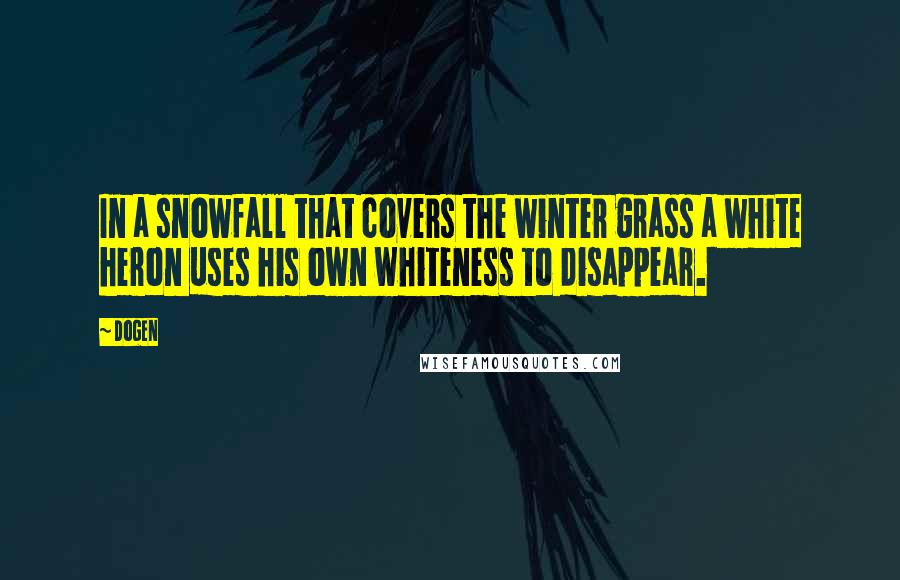 Dogen Quotes: In a snowfall that covers the winter grass a white heron uses his own whiteness to disappear.