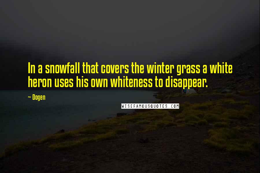 Dogen Quotes: In a snowfall that covers the winter grass a white heron uses his own whiteness to disappear.