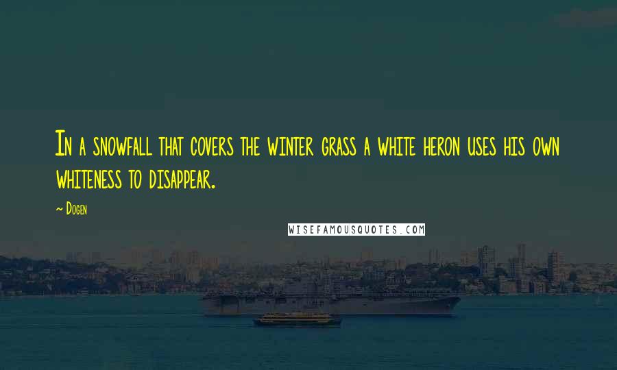 Dogen Quotes: In a snowfall that covers the winter grass a white heron uses his own whiteness to disappear.